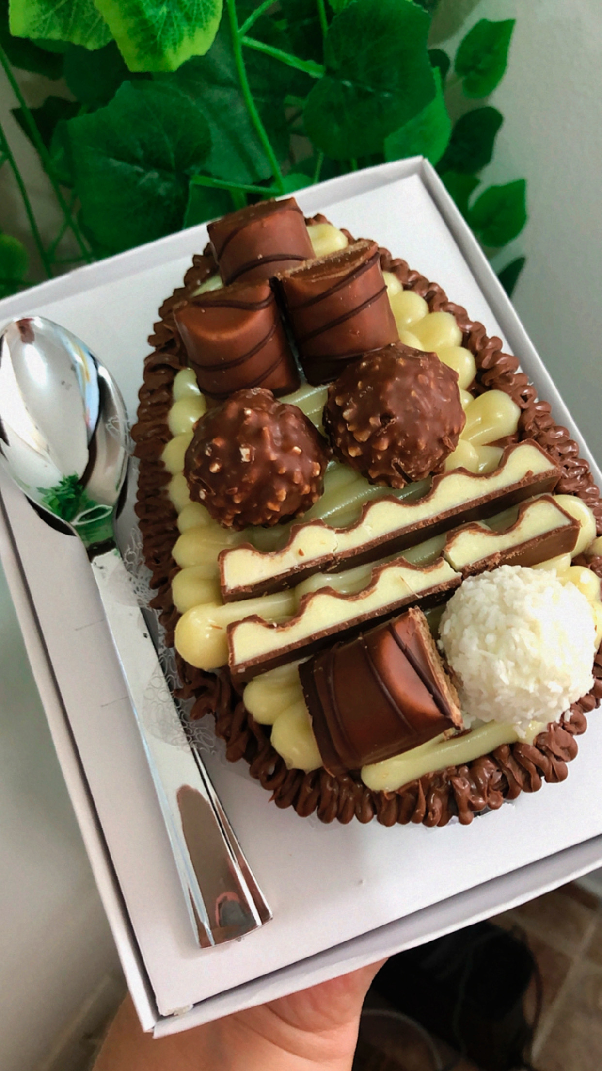 Casca Brownie TOP Kinder